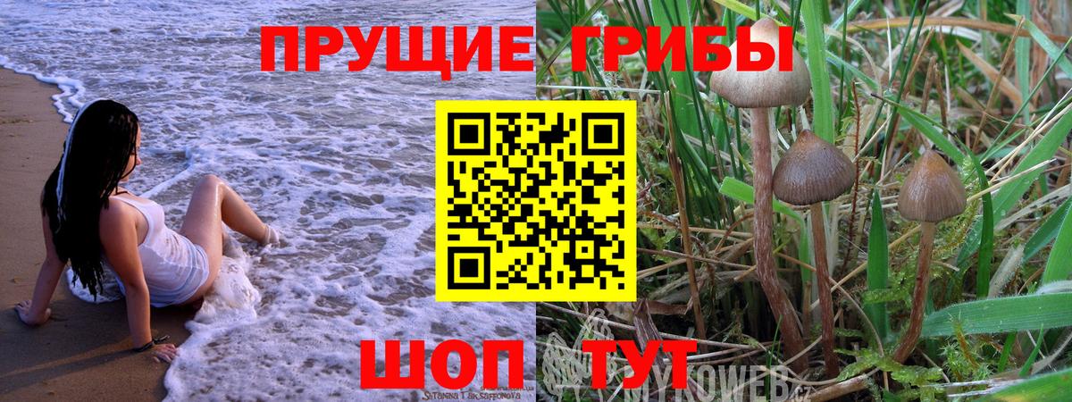 Добрянка  Псилоцибиновые грибы мицелий  Галлюциногенные грибы прущие грибы  магазин  наркотиков  Вход с VPN 