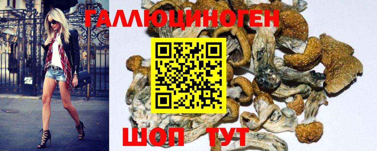 Псилоцибиновые грибы мухоморы Добрянка